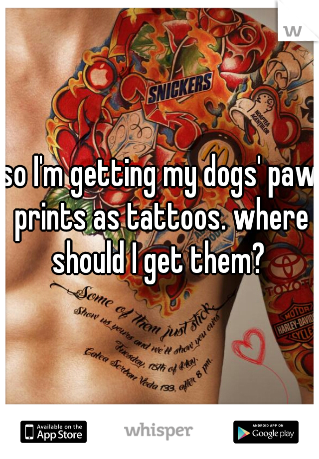 so I'm getting my dogs' paw prints as tattoos. where should I get them? 