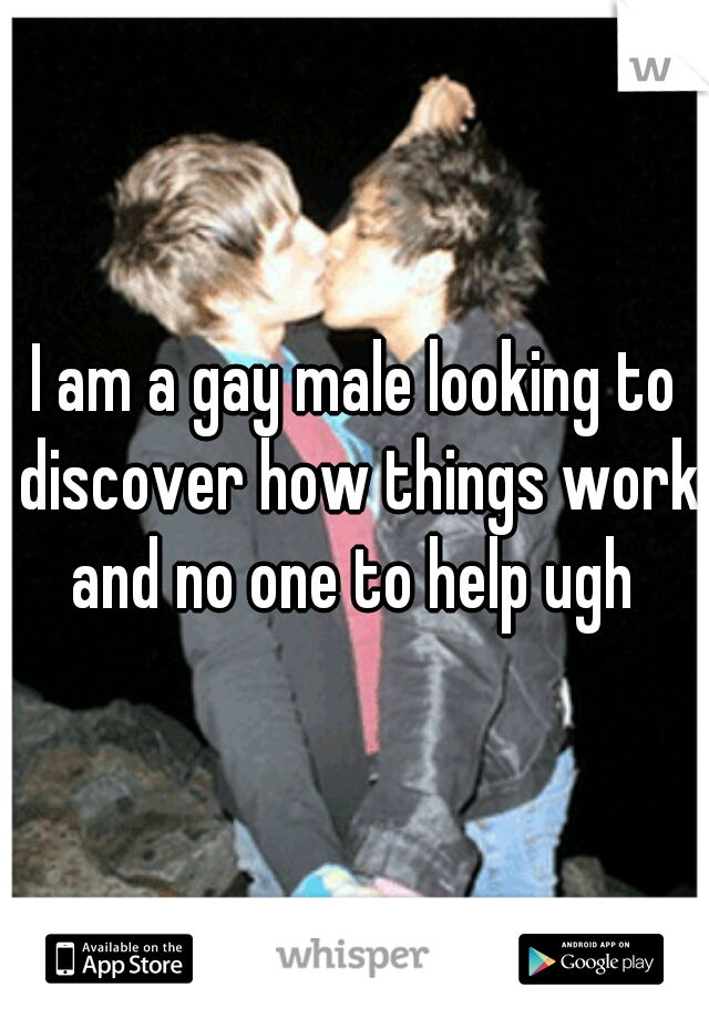 I am a gay male looking to discover how things work and no one to help ugh 
