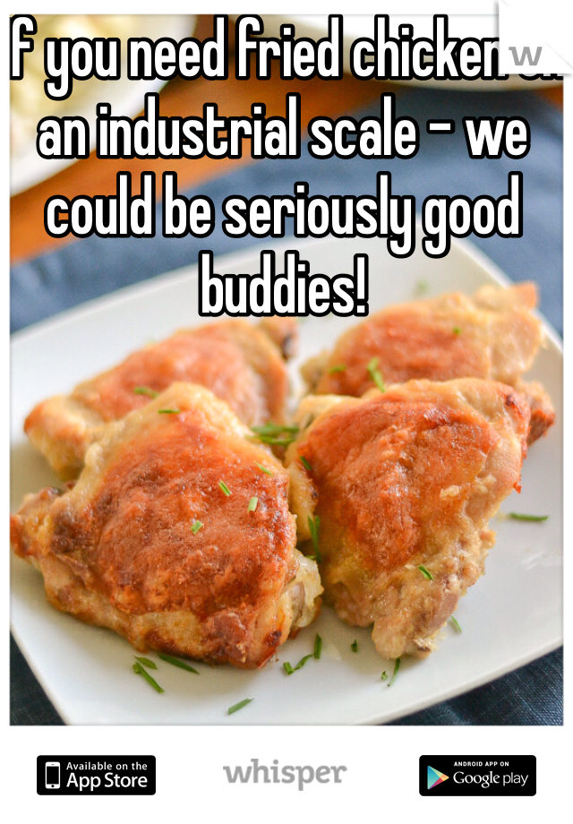 If you need fried chicken on an industrial scale - we could be seriously good buddies!