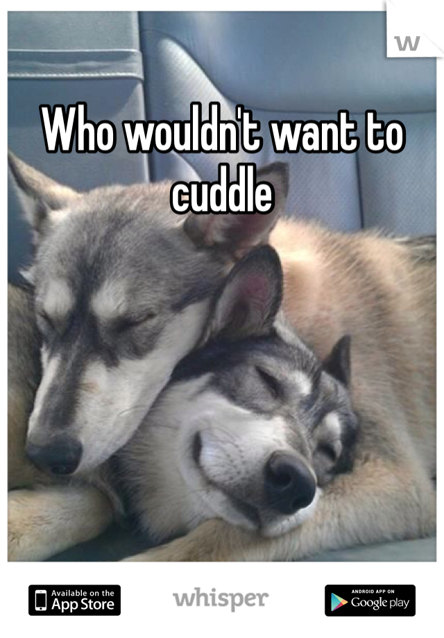 Who wouldn't want to cuddle
