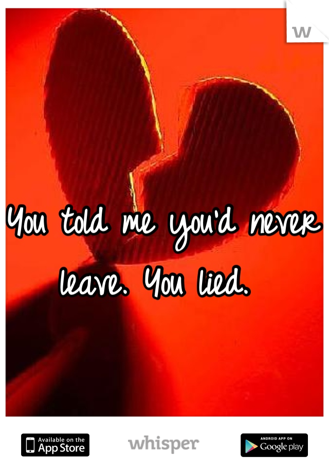 You told me you'd never leave. You lied. 