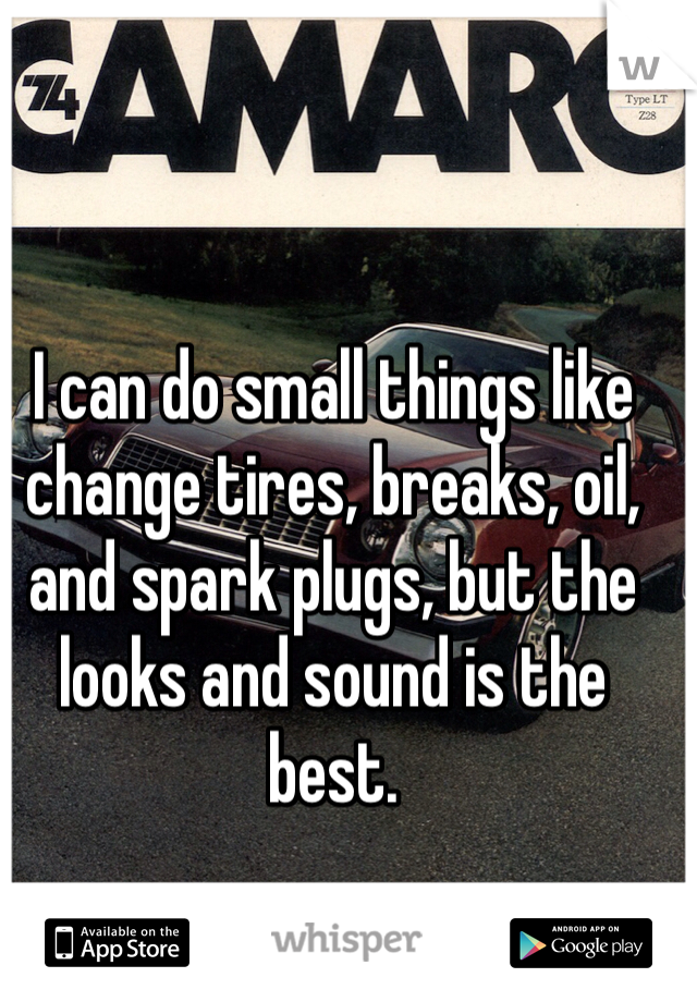 I can do small things like change tires, breaks, oil, and spark plugs, but the looks and sound is the best. 
