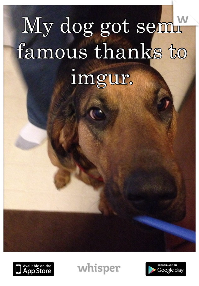 My dog got semi famous thanks to imgur.