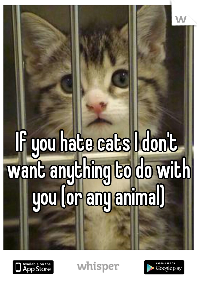 If you hate cats I don't want anything to do with you (or any animal)