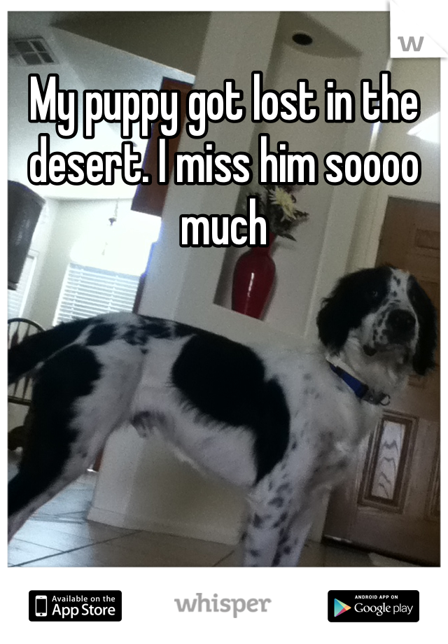 My puppy got lost in the desert. I miss him soooo much