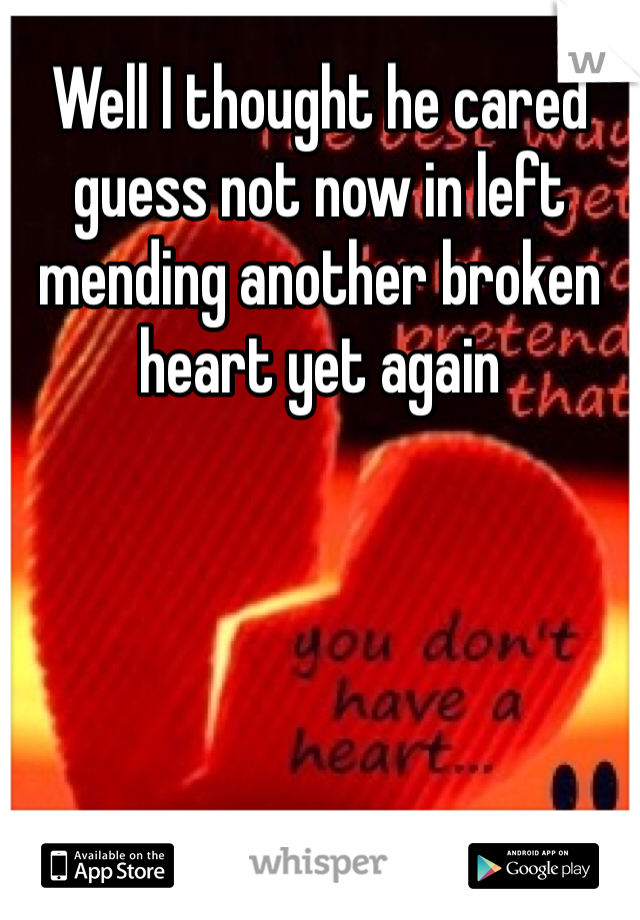 Well I thought he cared guess not now in left mending another broken heart yet again 