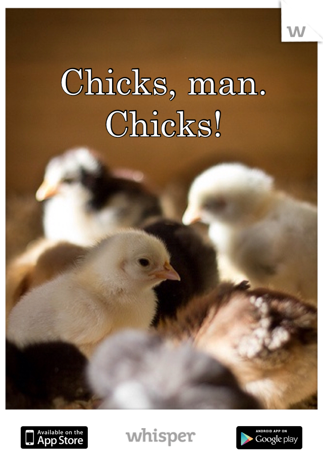 Chicks, man. 
Chicks!