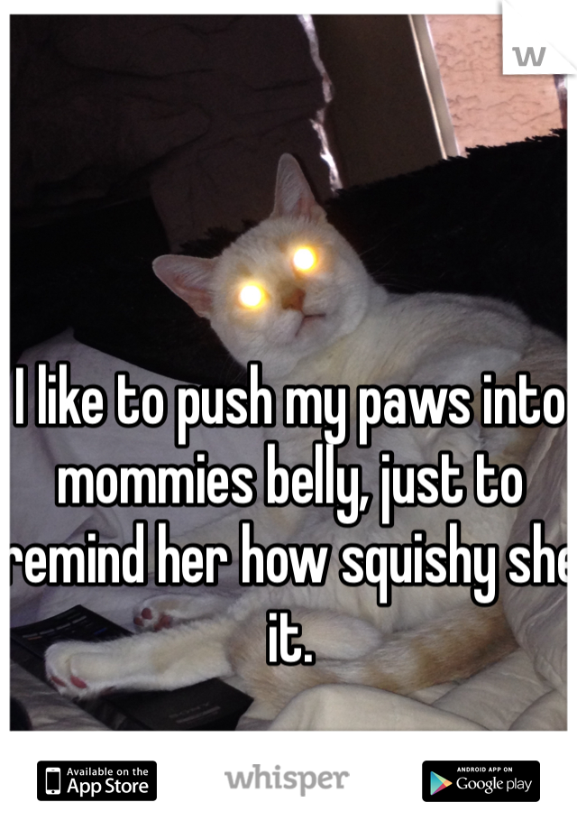 I like to push my paws into mommies belly, just to remind her how squishy she it.