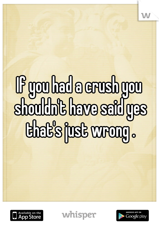 If you had a crush you shouldn't have said yes that's just wrong .