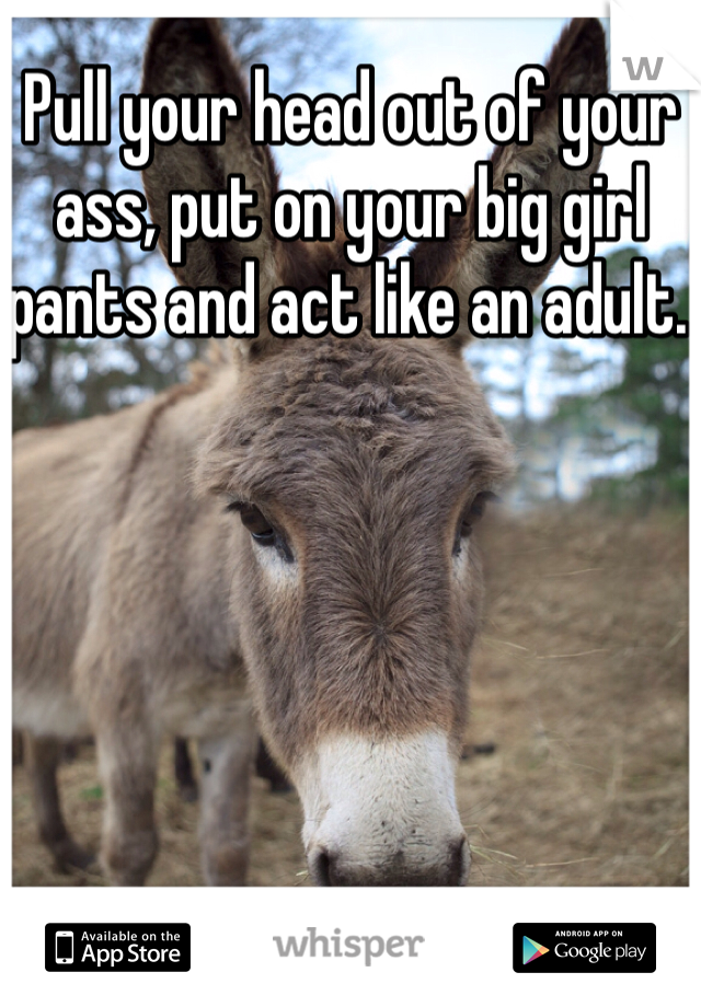 Pull your head out of your ass, put on your big girl pants and act like an adult. 
