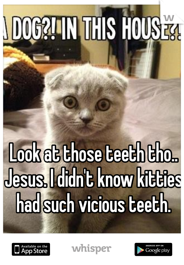 Look at those teeth tho.. Jesus. I didn't know kitties had such vicious teeth. 