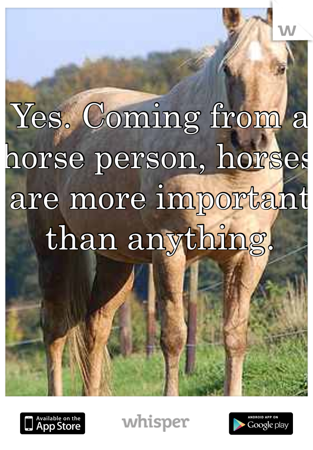Yes. Coming from a horse person, horses are more important than anything.