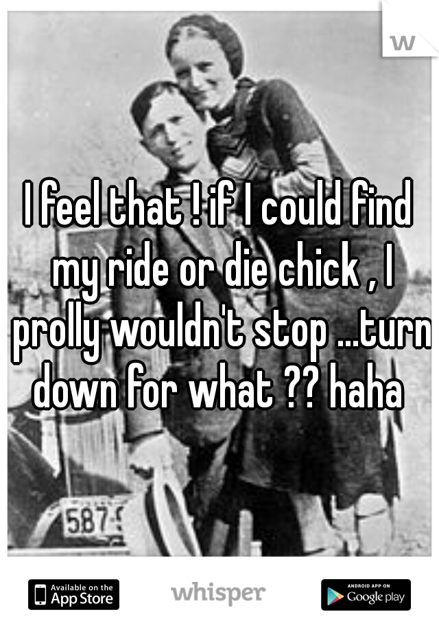 I feel that ! if I could find my ride or die chick , I prolly wouldn't stop ...turn down for what ?? haha 