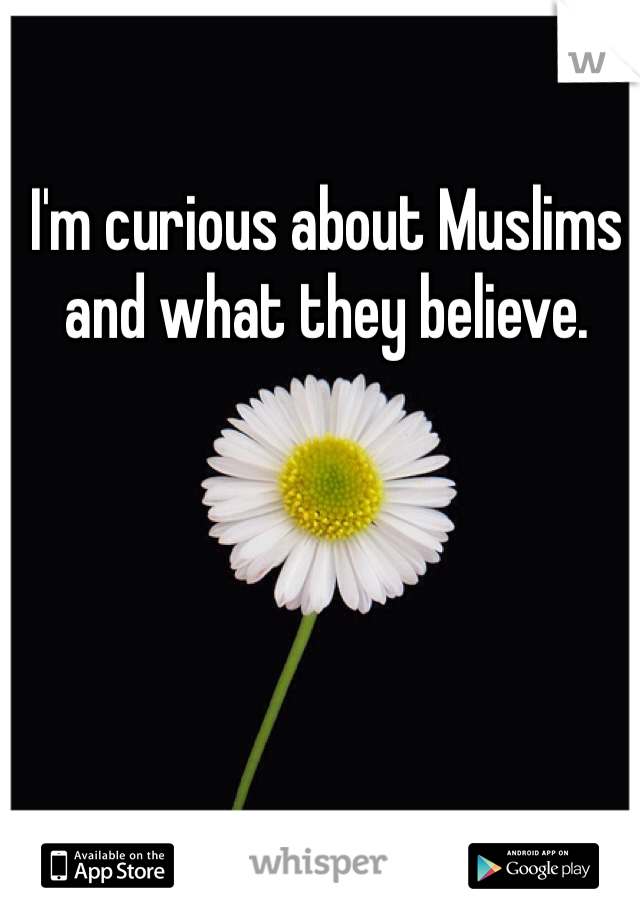 I'm curious about Muslims and what they believe.
