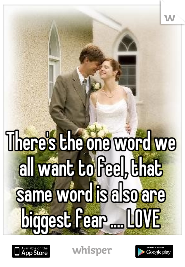 There's the one word we all want to feel, that same word is also are biggest fear .... LOVE