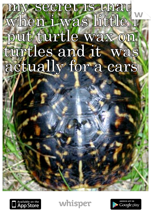 my secret is that when i was little i put turtle wax on turtles and it  was actually for a cars