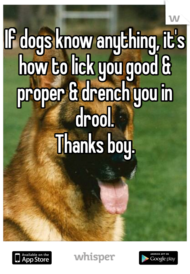 If dogs know anything, it's how to lick you good & proper & drench you in drool.
Thanks boy.  