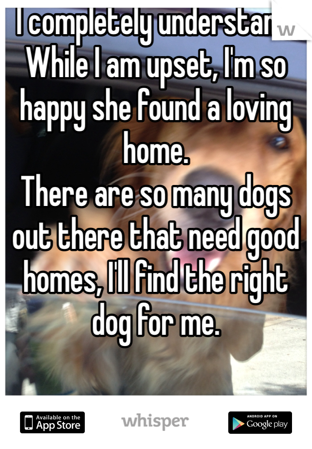 I completely understand. While I am upset, I'm so happy she found a loving home. 
There are so many dogs out there that need good homes, I'll find the right dog for me. 