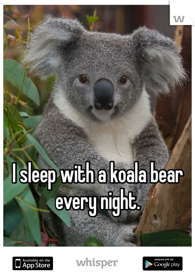I sleep with a koala bear every night. 