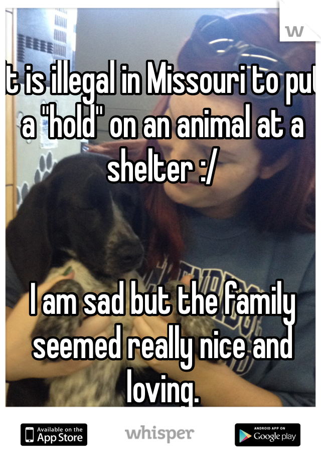 It is illegal in Missouri to put a "hold" on an animal at a shelter :/


I am sad but the family seemed really nice and loving. 