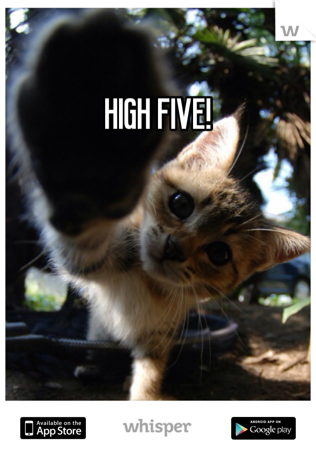 HIGH FIVE!