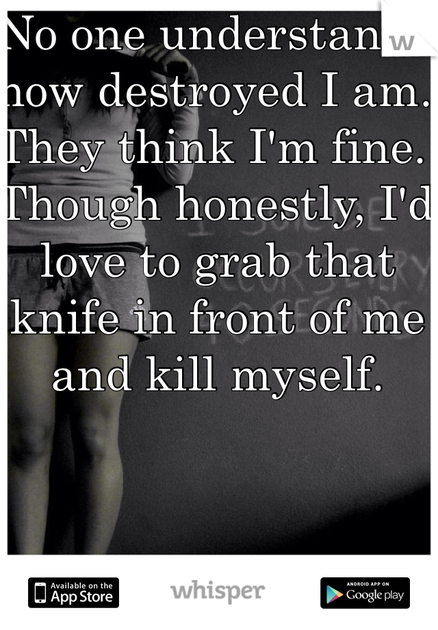 No one understands how destroyed I am. They think I'm fine. Though honestly, I'd love to grab that knife in front of me and kill myself.