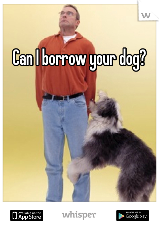Can I borrow your dog?