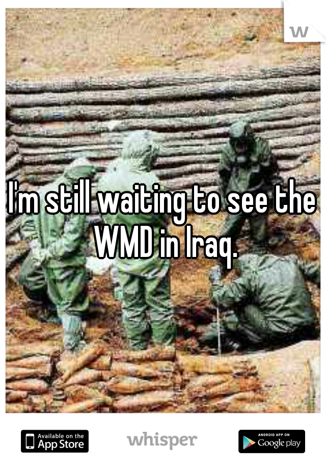 I'm still waiting to see the WMD in Iraq.