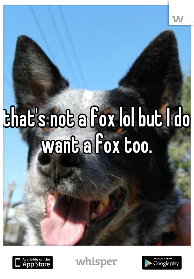 that's not a fox lol but I do want a fox too. 