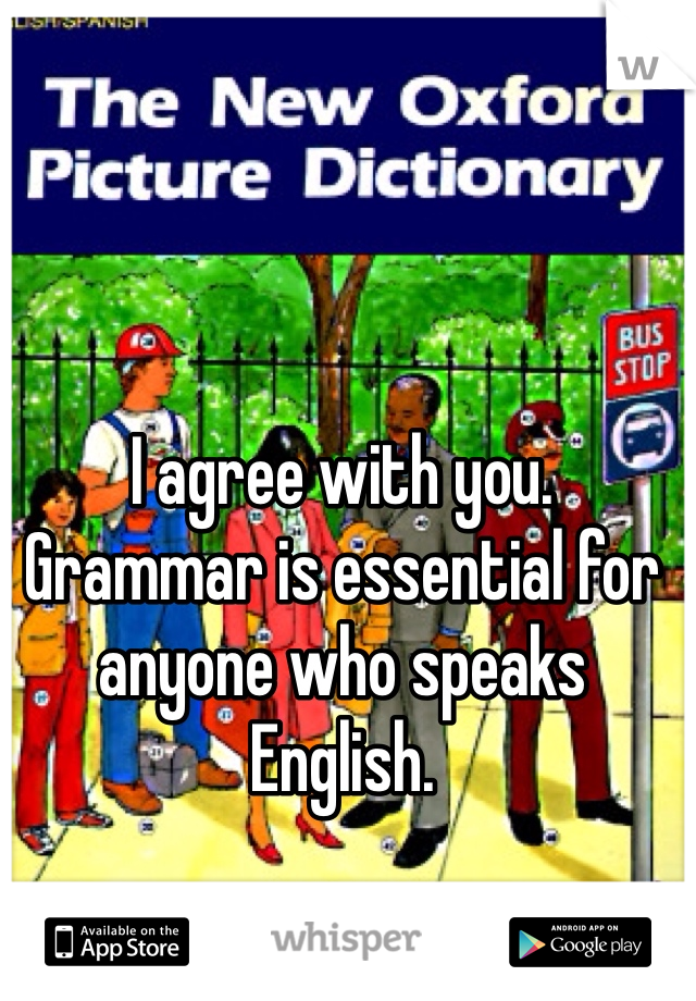 I agree with you. Grammar is essential for anyone who speaks English. 