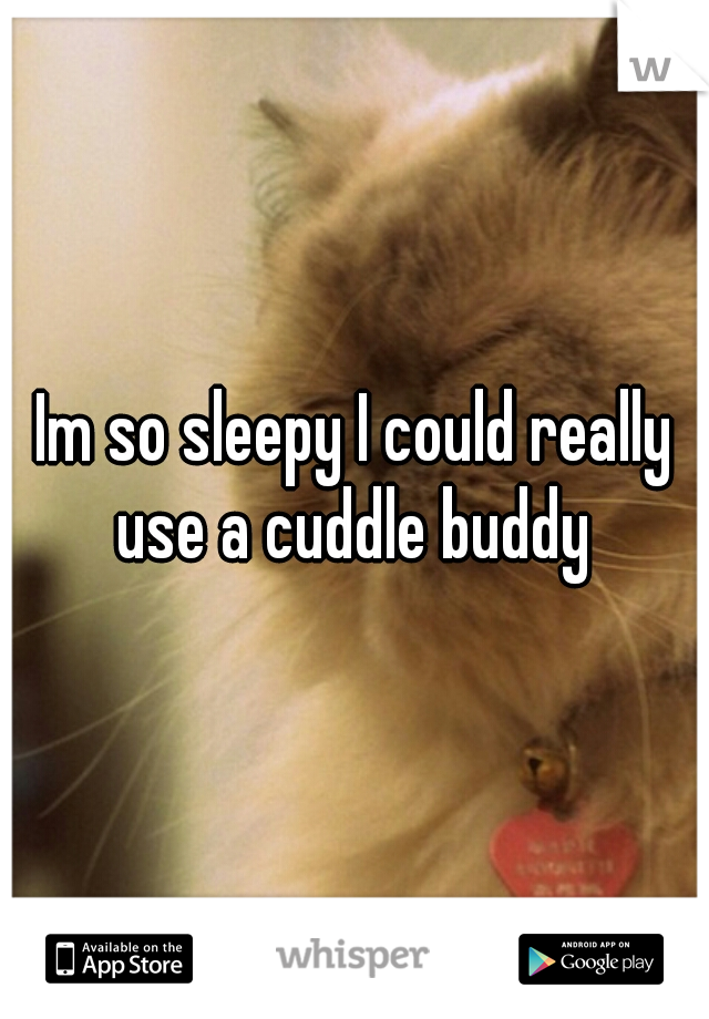 Im so sleepy I could really use a cuddle buddy 