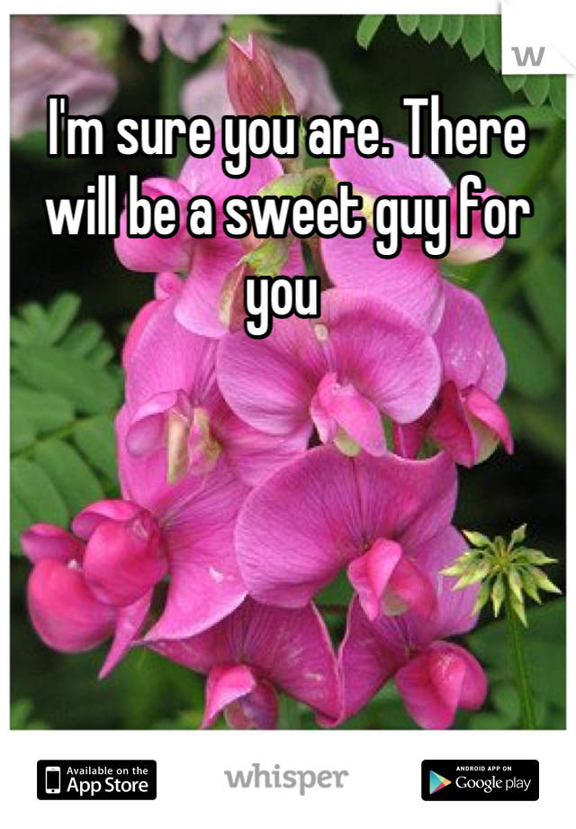 I'm sure you are. There will be a sweet guy for you 