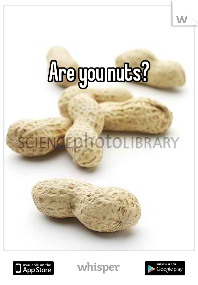 Are you nuts?