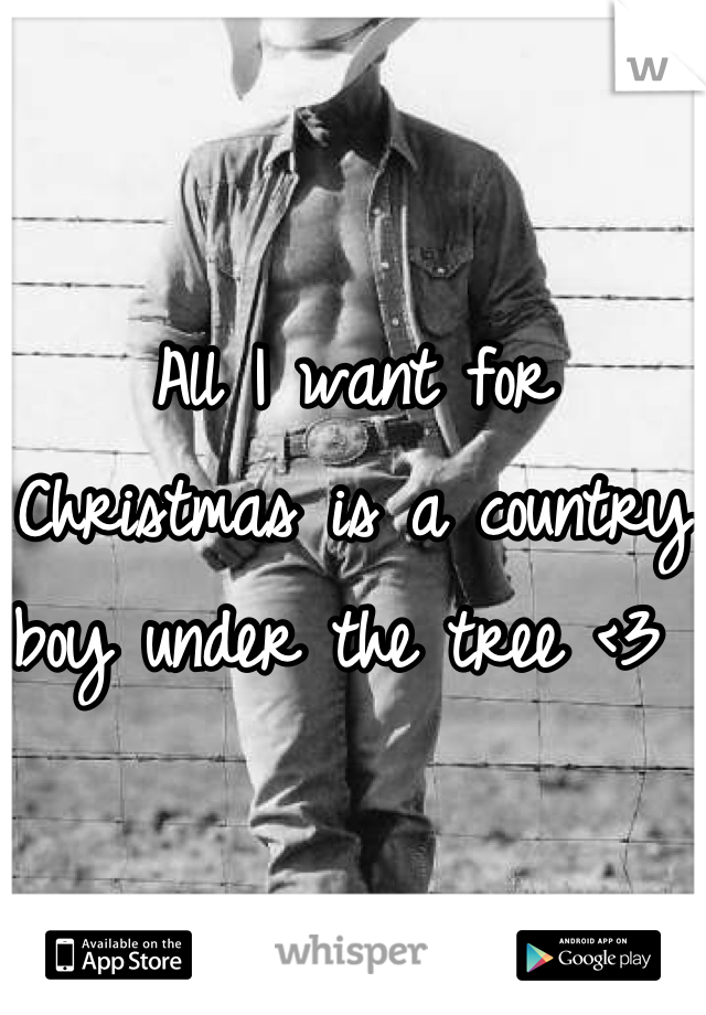 All I want for Christmas is a country boy under the tree <3 