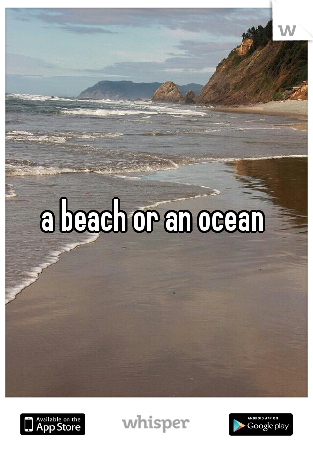 a beach or an ocean 
