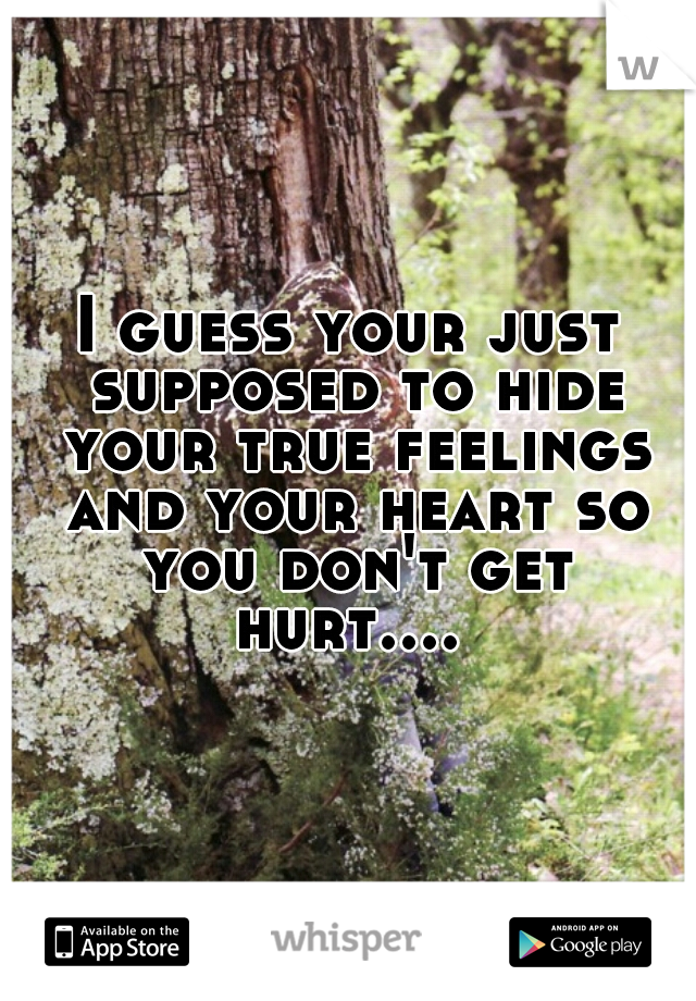 I guess your just supposed to hide your true feelings and your heart so you don't get hurt.... 