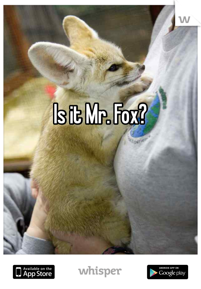 


Is it Mr. Fox?