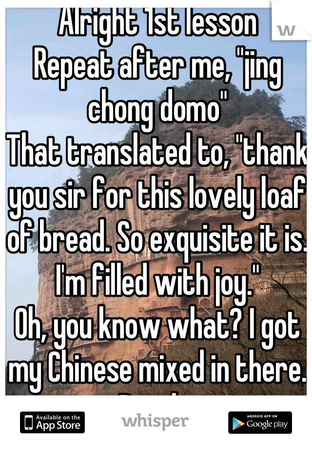 Alright 1st lesson
Repeat after me, "jing chong domo"
That translated to, "thank you sir for this lovely loaf of bread. So exquisite it is. I'm filled with joy."
Oh, you know what? I got my Chinese mixed in there.
Desolé 
