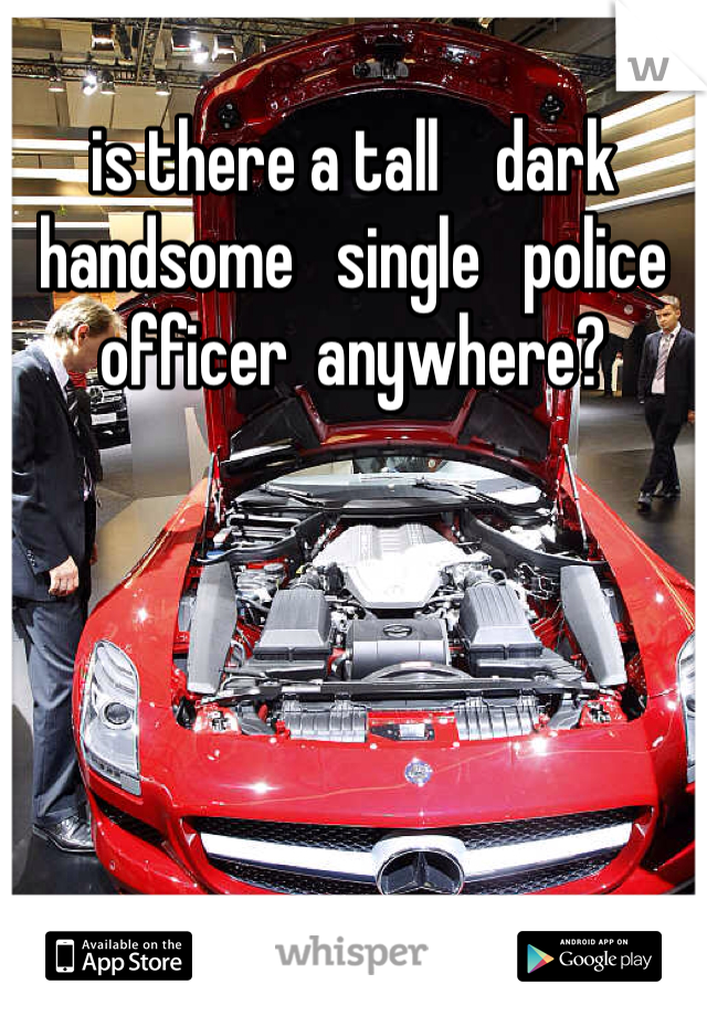 is there a tall    dark   handsome   single   police officer  anywhere? 
