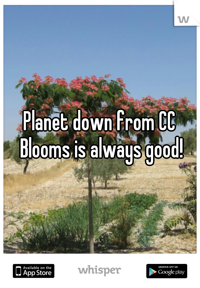 Planet down from CC Blooms is always good!