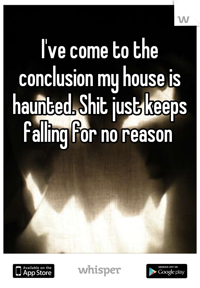 I've come to the conclusion my house is haunted. Shit just keeps falling for no reason 