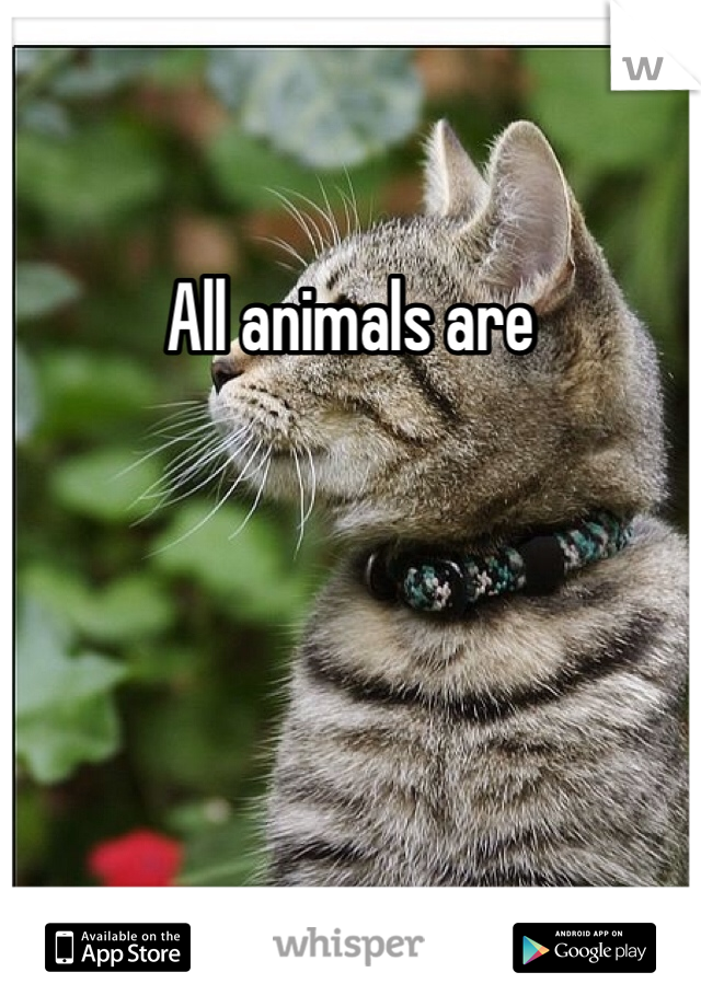 All animals are