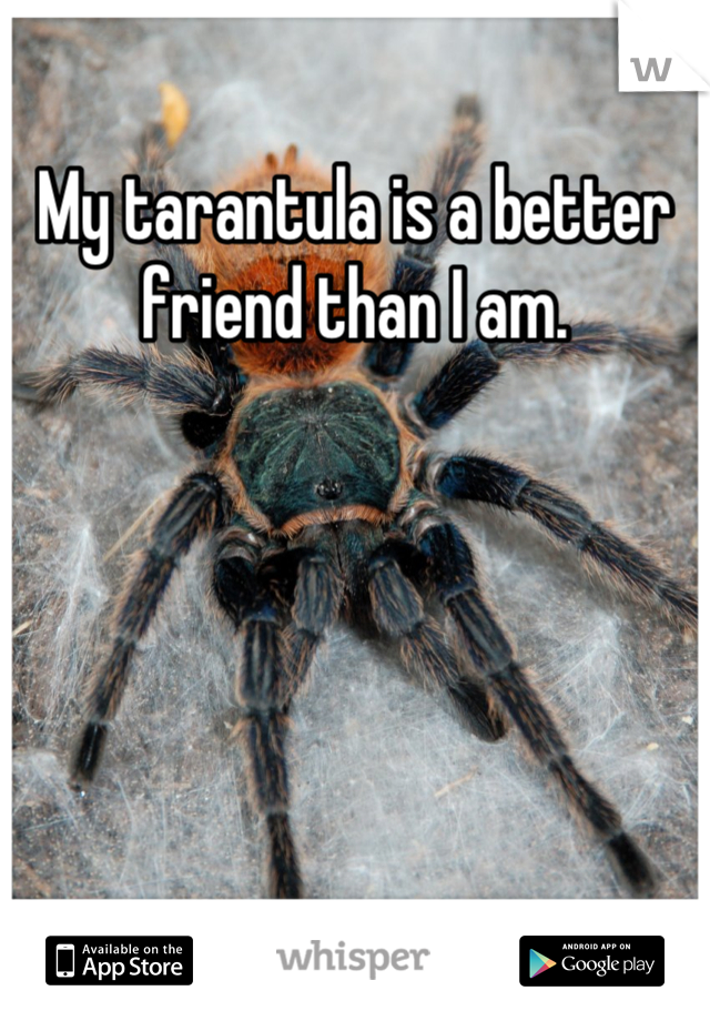 My tarantula is a better friend than I am.