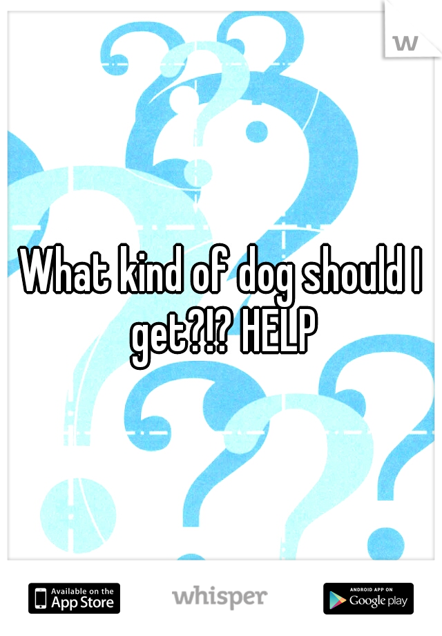 What kind of dog should I get?!? HELP