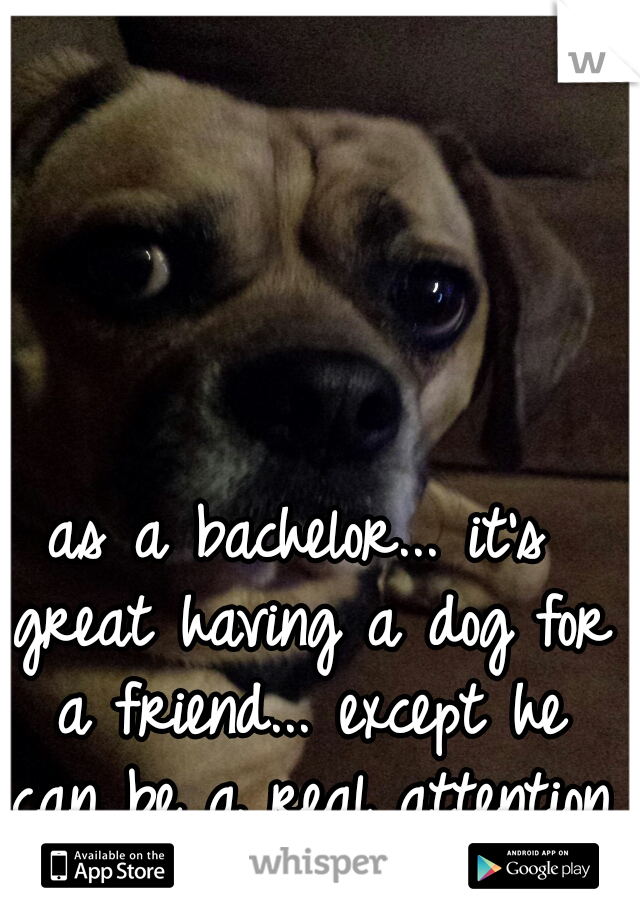 as a bachelor... it's great having a dog for a friend... except he can be a real attention whore lol