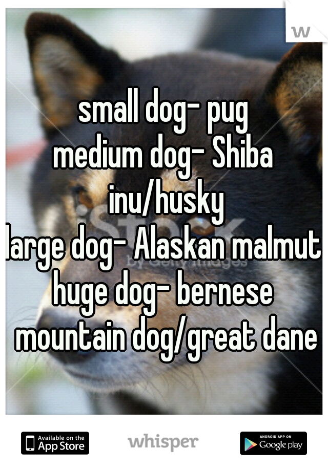 small dog- pug
medium dog- Shiba inu/husky
large dog- Alaskan malmute
huge dog- bernese mountain dog/great dane