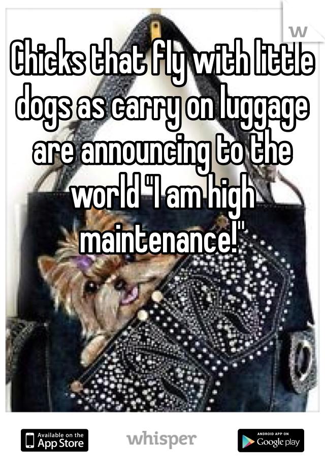 Chicks that fly with little dogs as carry on luggage are announcing to the world "I am high maintenance!"