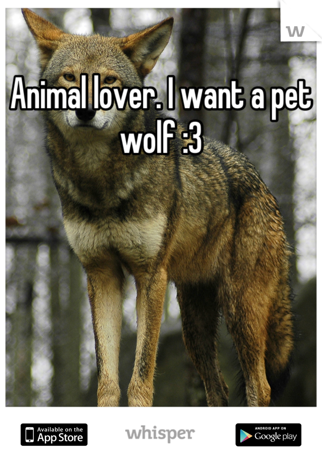 Animal lover. I want a pet wolf :3