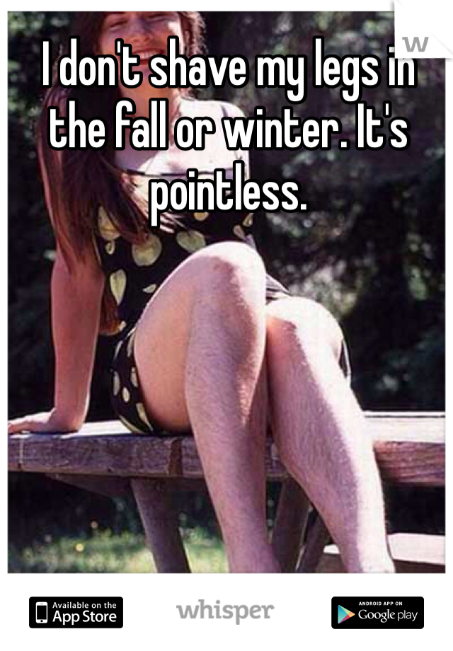 I don't shave my legs in the fall or winter. It's pointless. 