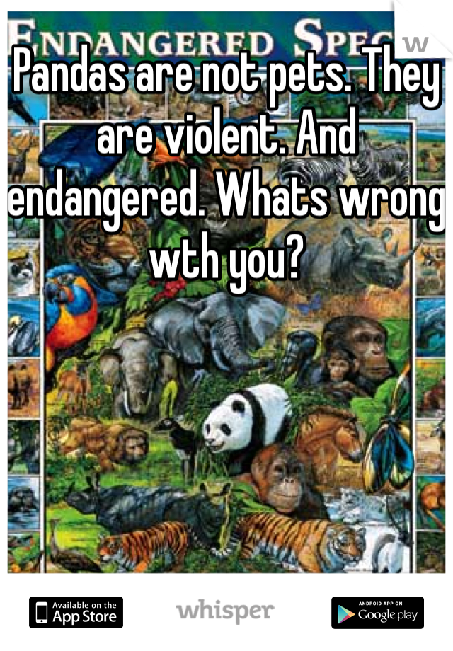 Pandas are not pets. They are violent. And endangered. Whats wrong wth you?